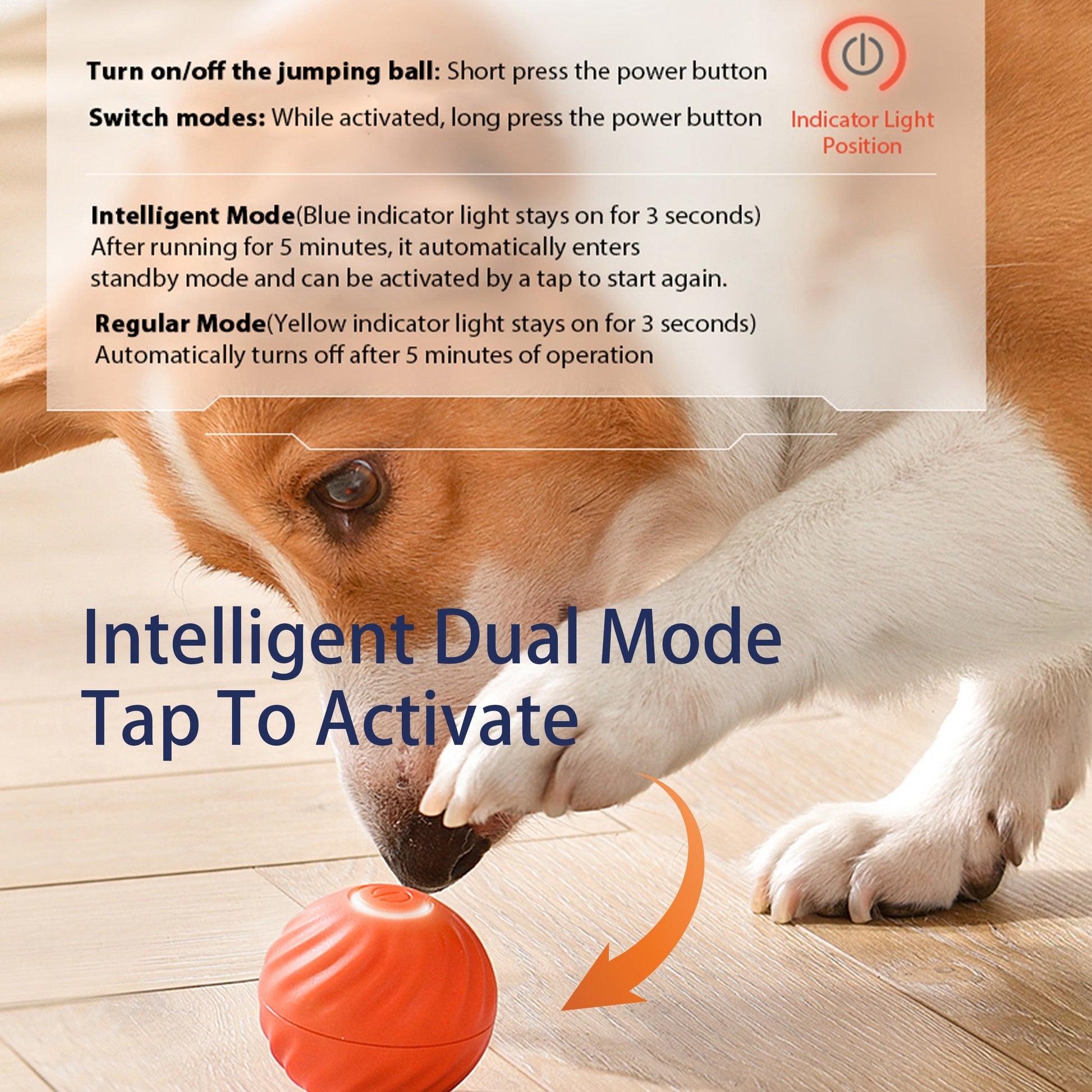 Automatic Bouncing Cat Toy Ball – Interactive Self-Moving Training Ball for Indoor Cats Petcare